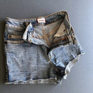 Aritzia Sunday Best Short